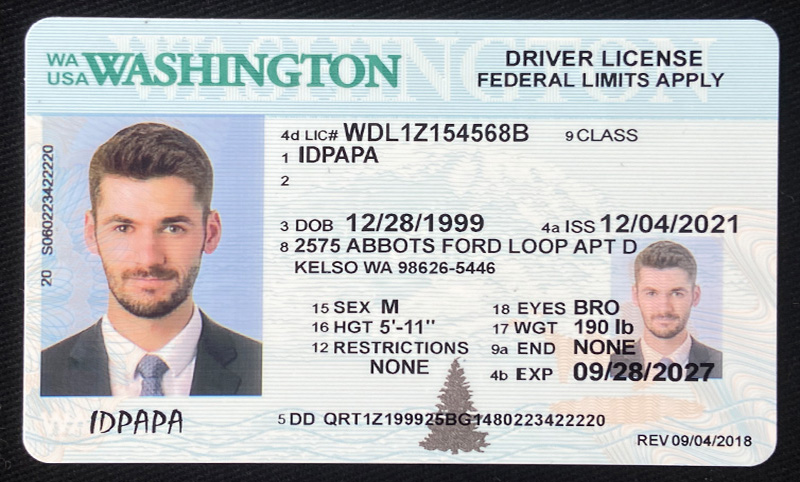 Washington Fake ID
